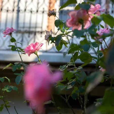 فندق مبيت وإفطار Numero22 D'hotes مونْتوبا