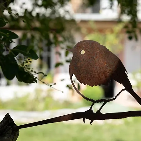 Numero22 D'hotes Nocleg ze śniadaniem Montauban